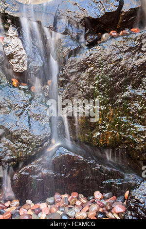 Garfield Park Conservatory Chicago ILwaterfall Funktion Stockfoto