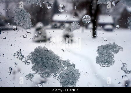 Schneeflocken und Wasser fällt auf Glas, Schneesturm Jonas 2016 an der Ostküste, USA Stockfoto