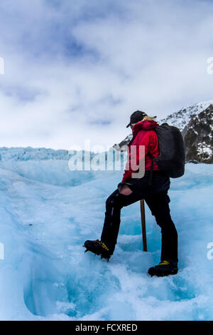Guide in Franz Josef, 12 Km Gletscher im Westland Nationalpark Tai Poutini Stockfoto