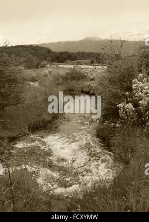 Fluss und die Berge im Sepia-Ton. Vertikale. Stockfoto