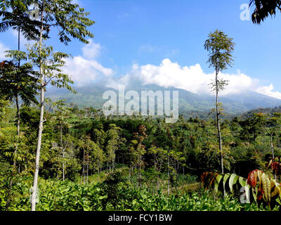 Indonesien Zentral Java Mount Merbabu in den frühen Morgenstunden Adrian Baker Stockfoto