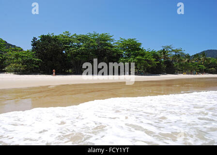 Ilha Grande Island: Strand Praia Lopes Mendes, Bundesstaat Rio De Janeiro, Brasilien-Südamerika Stockfoto