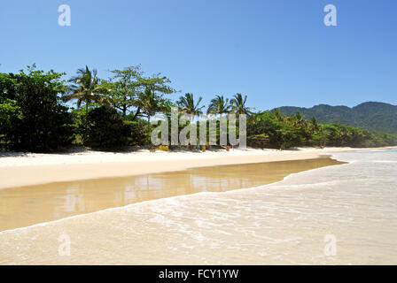 Ilha Grande Island: Strand Praia Lopes Mendes, Bundesstaat Rio De Janeiro, Brasilien-Südamerika Stockfoto