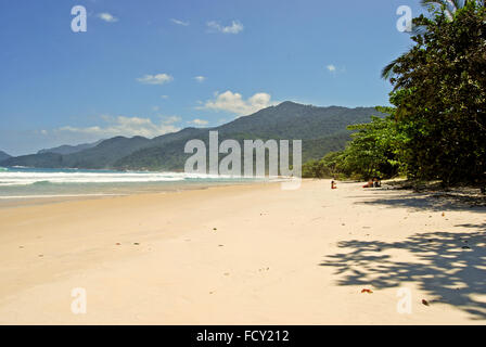 Ilha Grande Island: Strand Praia Lopes Mendes, Bundesstaat Rio De Janeiro, Brasilien-Südamerika Stockfoto