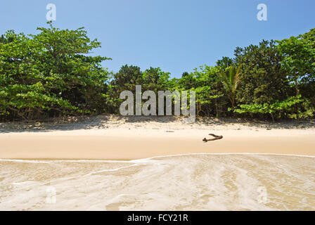 Ilha Grande Island: Strand Praia Lopes Mendes, Bundesstaat Rio De Janeiro, Brasilien-Südamerika Stockfoto