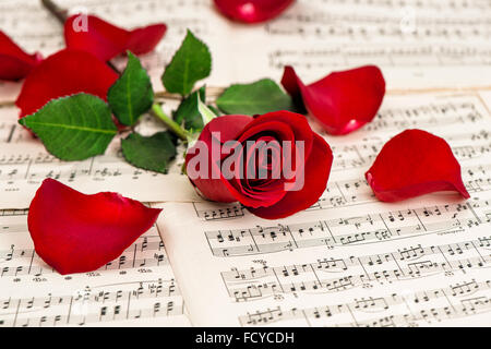 Rote rose Blume und Musik Notizen-Blatt Stockfoto