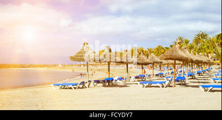 Teneriffa, Spanien - 18. Januar 2013: Stroh Sonnenschirme und Liegestühle am Playa de Las Americas, Teneriffa, Kanarische Inseln, Spanien Stockfoto