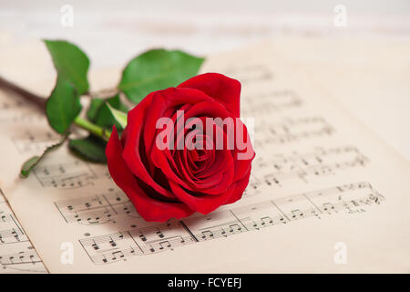 Rote rose Blume und Musik Notizen-Blatt Stockfoto