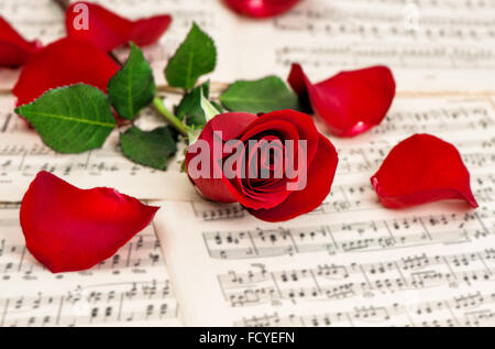 Rote rose Blume und Musik Noten Blatt. Selektiven Fokus Stockfoto