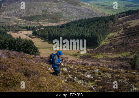 Wandern im Bowland Stockfoto