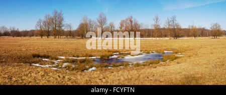 Kleine Pfütze mit gefrorenem Wasser auf die gelbe Frühlingswiese mit Wald im Hintergrund Stockfoto