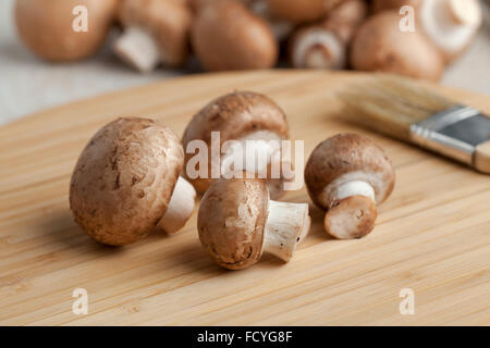 Frische Kastanien Pilze auf dem Schneidebrett Stockfoto