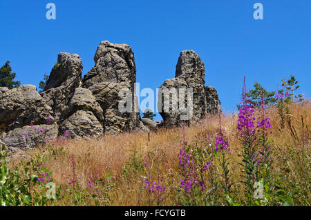 sterben Sie Teufelsmauer Im Harz - der Teufel-Wand in Harz Berge Stockfoto