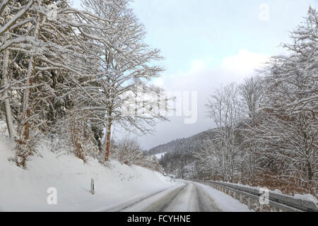 Malerische Winterstimmung mit Raureif auf Bäumen entlang der Straße, Westfeld / Schmallenberg, Sauerland, Nordrhein-Westfalen, Deutschland. Stockfoto