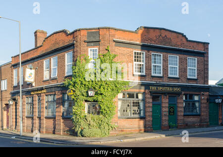 Der gefleckte Hund Irish Pub in Digbeth, Birmingham Stockfoto