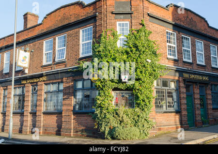 Der gefleckte Hund Irish Pub in Digbeth, Birmingham Stockfoto