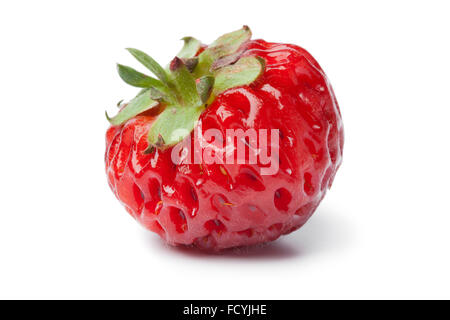 Einzigen frischen Reifen Strasberry auf weißem Hintergrund Stockfoto