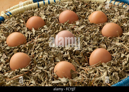 Eiern in einem Korb mit getrockneten Henna Blättern als Symbol für eine marokkanische Hochzeitsparty Stockfoto