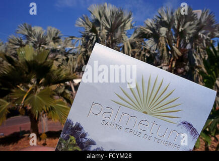 Palmetum botanischen Gärten in Santa Cruz De Tenerife, hat eine der größten Sammlungen von Palmen in Welt Stockfoto