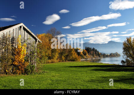 Herbstliche Landschaft mit Blick auf die Alpen am Forggensee im Allgäu, Bayern, Deutschland. Stockfoto