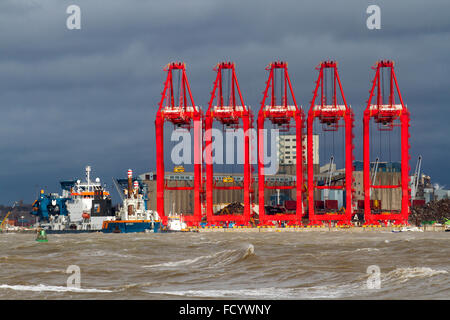 Einsatzbereite Cantilever Rail-Mounted Gantry (CRMG)-Krane in Liverpool. Ship to Shore Kräne STS halbautomatische Cantilever Rail Mounted Gantry 'Megamax' Kaisenkrane (CRMG). Liverpool 2 ist der neue Tiefwassercontainer-Terminal von Peel Ports. Das £300 Millionen-Investitionsprogramm von Peel Ports zur Erweiterung und Entwicklung des bestehenden Hafens von Liverpool wird Liverpool2 zum größten transatlantischen Tiefseehafen und Containerterminal Großbritanniens machen. Stockfoto