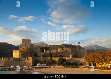 Das Königsschloss in Collioure mit Tour de Madeloc im Hintergrund, Frankreich. Stockfoto