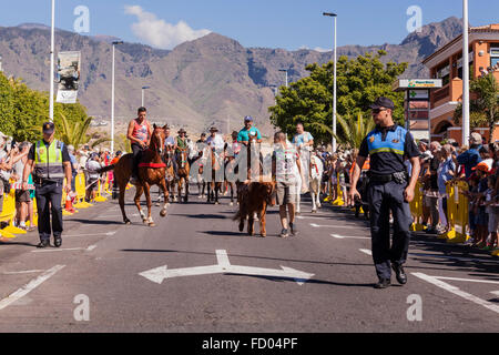 Reiter und ihre Pferde Parade entlang der Straße zum Strand La Enramada wo sie die Tiere Bad werden. Fiesta von San Seba Stockfoto