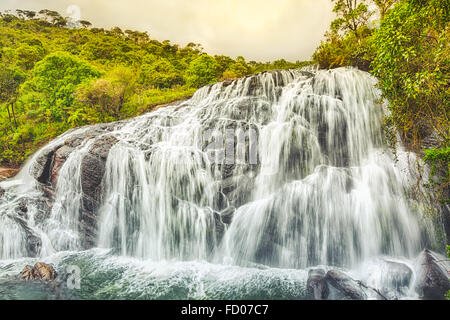 Bäcker fällt. Horton Plains Nationalpark. Sri Lanka. Stockfoto