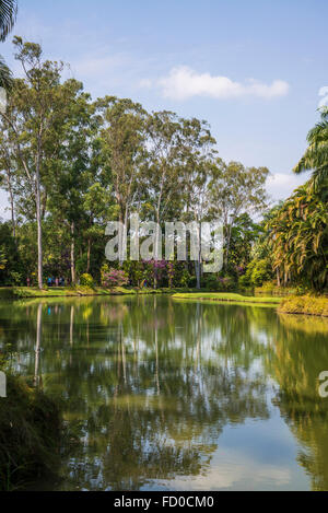 Inhotim Botanischer Garten und Museum für zeitgenössische Kunst, Belo Horizonte, Minas Gerais, Brasilien Stockfoto