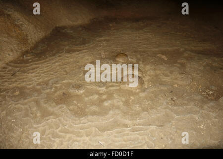 Versteinerten Schildkröteneier in den Kalkfelsen des Dau Go Höhle in Halong Bucht, Vietnam Stockfoto