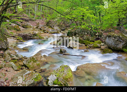 Gebirgsfluss fließt unter den Steinen in Holz Stockfoto