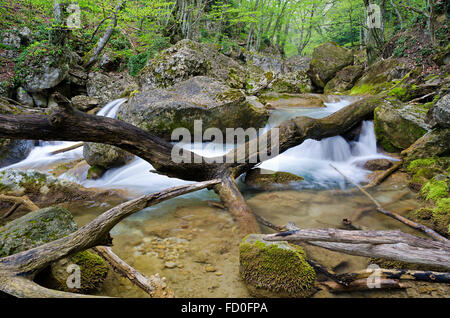 Gebirgsbach fließt unter den Steinen in Holz Stockfoto