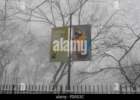 New York City - 23. Januar 2016: Central Park Zoo Vogel Zeichen während Blizzard Jonas weiß Bedingungen Stockfoto