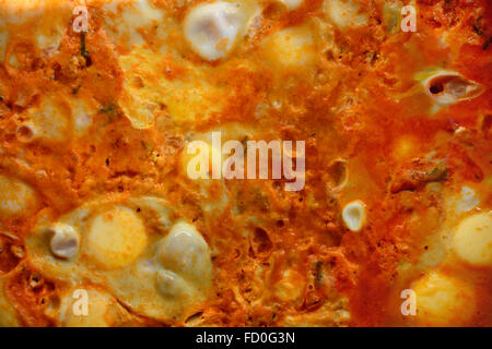 Shakshuka Gericht Stockfoto
