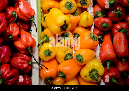 Der Mercat de Sant Josep De La Boqueria, oft einfach als La Boqueria bezeichnet Stockfoto