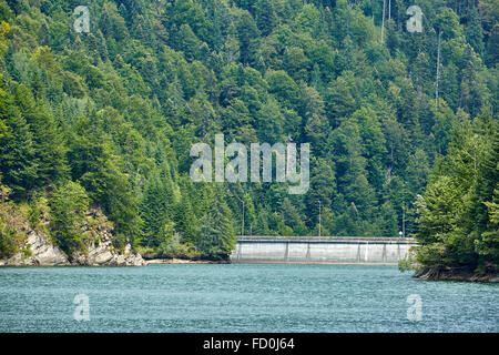 Stausee in den Bergen, umgeben von Wald Stockfoto