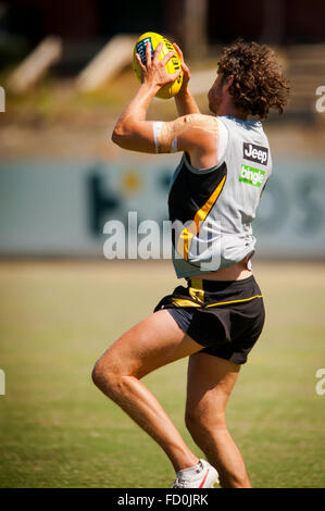 Männer der Australian Football League Richmond Tigers in einer Sommer-Praxis Stockfoto