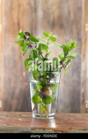 Bund frische Minze in ein Glas Wasser auf hölzernen Hintergrund Stockfoto