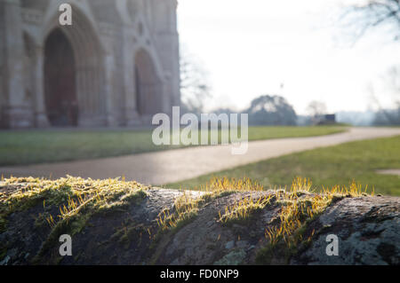 Blick über die Mauer in den Park und die Kathedrale Stockfoto