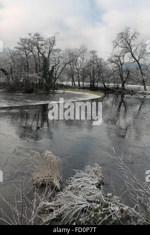 Raureif auf Bäumen an den Ufern des Flusses Dee an den Horseshoe Falls in Llangollen Stockfoto