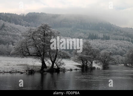 Raureif auf Bäumen an den Ufern des Flusses Dee in Llangollen Stockfoto