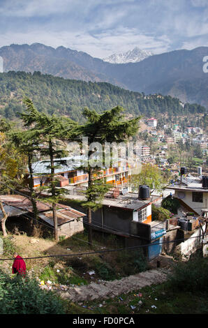 Dharamsala Himachal Pradesh, Indien Stockfoto