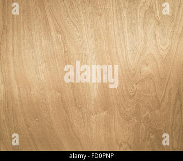 Holzstruktur helle Buche Korn Muster abstrakt natürlichen Hintergrund dekorative Woodgrain Furnierbild Stockfoto