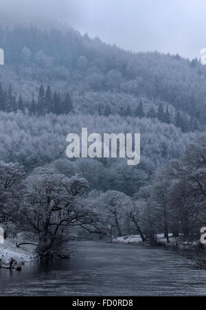 Raureif auf Bäumen an den Ufern des Flusses Dee in Llangollen Stockfoto