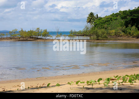 Port Douglas am Wasser, wie die Flut geht aus Stockfoto