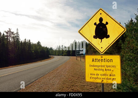 Gefährdete Arten nisten Bereich Schild am Kejimkujik National Park und historische Stätte, Nova Scotia, Kanada Stockfoto