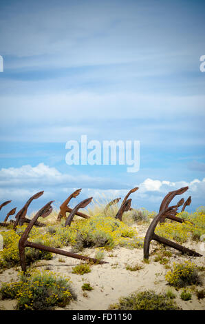 Friedhof von Anker-Barrel Strand Stockfoto