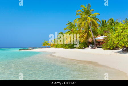 Malediven, Ari Atoll, Indischer Ozean Stockfoto