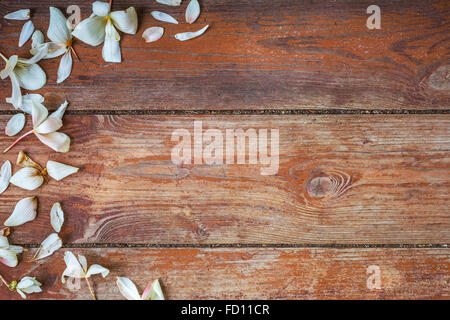 Weiße Blütenblätter auf dem Hintergrund der alten Holzbretter Stockfoto