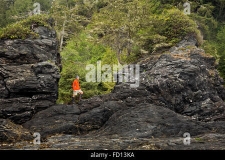 . BRITISH COLUMBIA - Wanderer Seastacks Zeitpunkt Owen auf Vancouver Island an der West Coast Trail im Pacific Rim National Park zu erkunden. Stockfoto